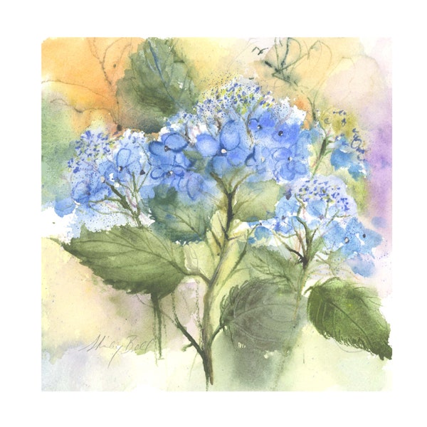 Blue hydrangea  Giclee print- hydrangea watercolor art- blue hydrangea-  blue lace cap hydrangea art- blue hydrangea painting