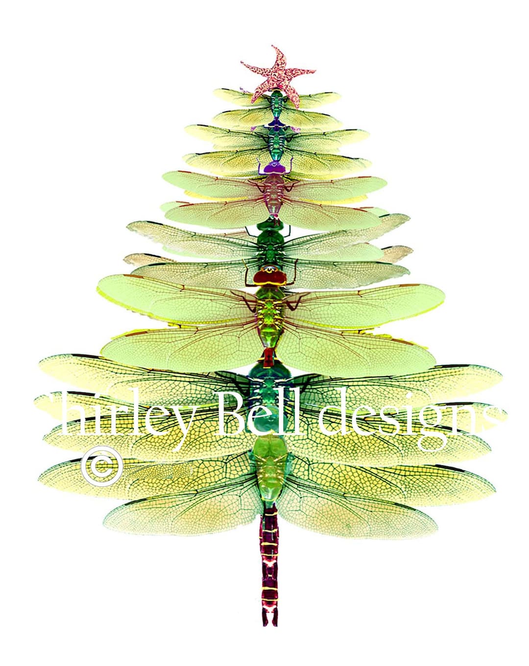 Dragonfly Christmas Cards Printable Free
