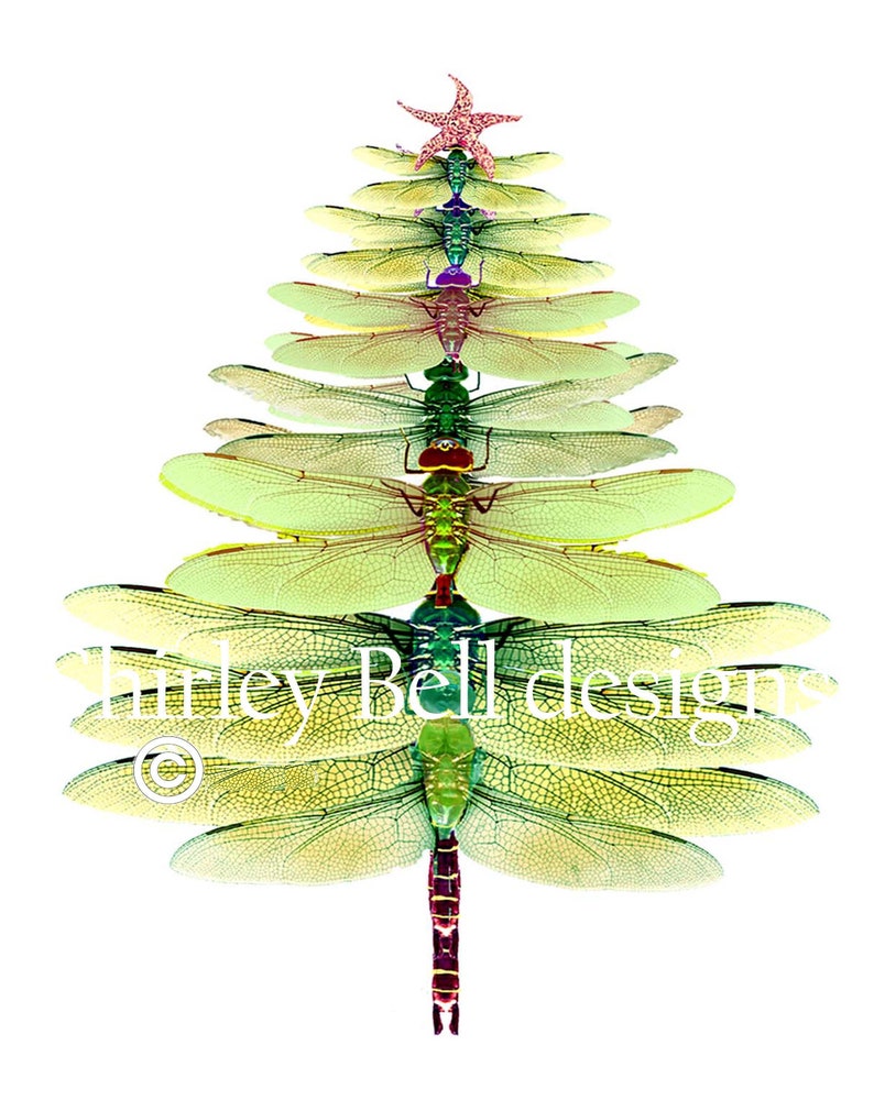 Dragonfly Tree cards-  Winter solstice card- Christmas tree-  box holiday card set- woodland christmas- dragonfly Christmas card