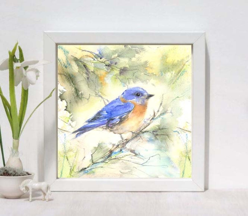 Bluebird print birders gift bluebird gift songbird art bluebird art watercolor bird print image 2