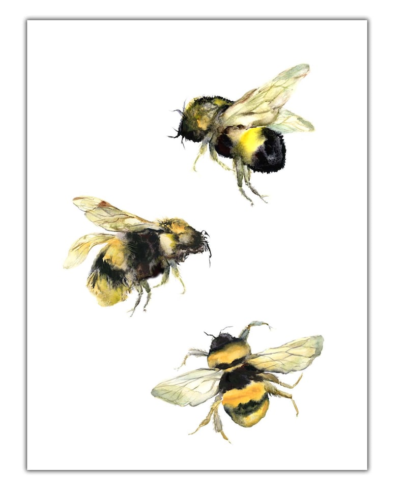 Bee Cards Bee Lovers Card Bumble Bee Note Cards Bee Keepers Etsy
