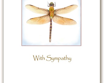 Papyrus Sympathy Cards – Dragonfly & Flowers – 2 Pack – High Quality Greeting Cards