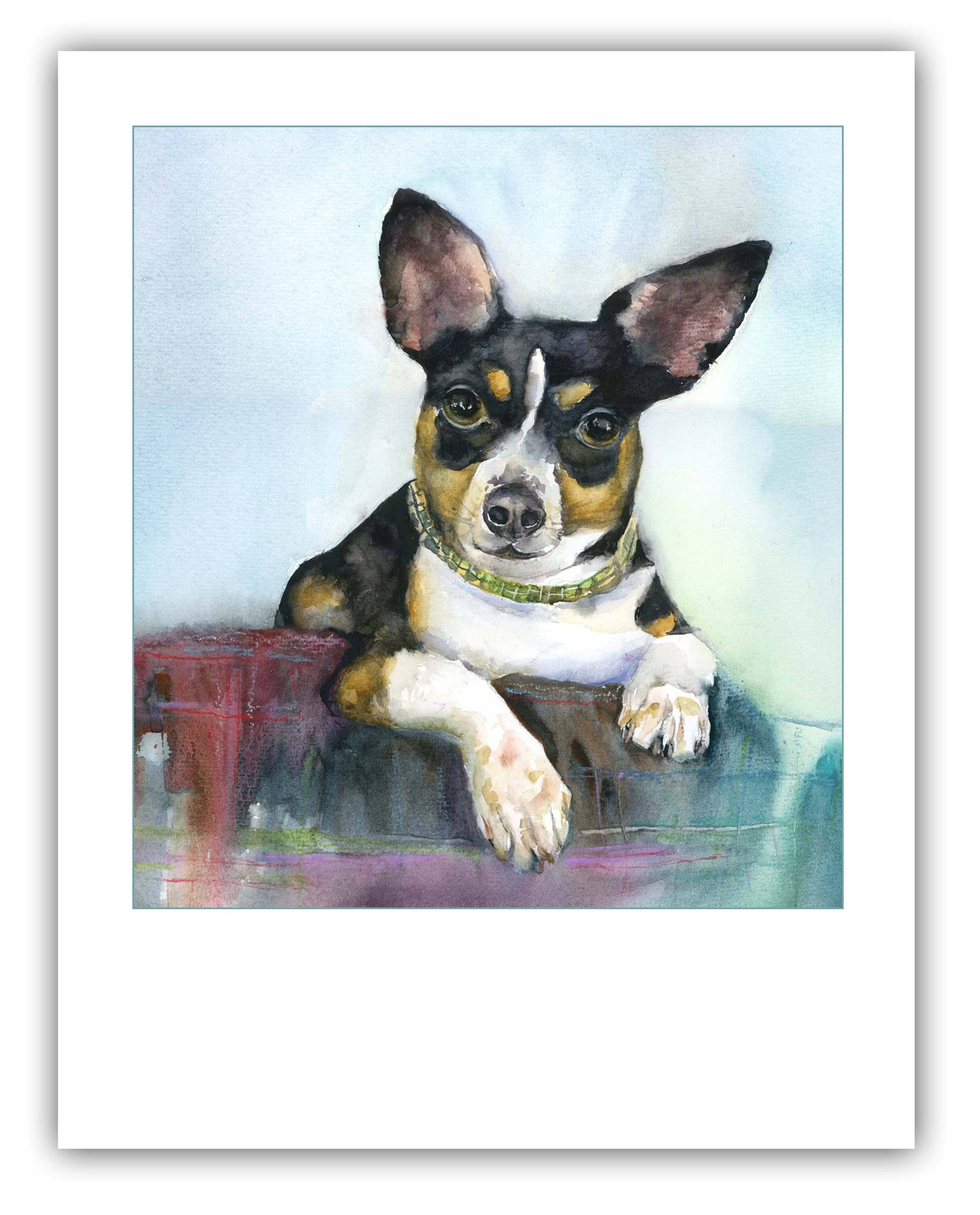 Full Grown Boston Rat Terrier Mix suturasonline .br