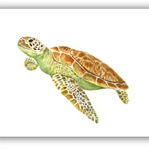 sea turtle notecards,  nautical cards, hostess gift,  sea turtle watercolor cards, sea turtle gift,  sea turtle lover