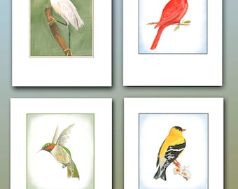 Bird cards, 8 blank boxed set. woodland gift, hummingbird, cardinal, goldfinch, snowy egret, bird paintings, bird lover gift. birders gift.