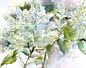 lilac watercolor -original white lilac floral art-  botanical painting- spring flower art- white lilac watercolor