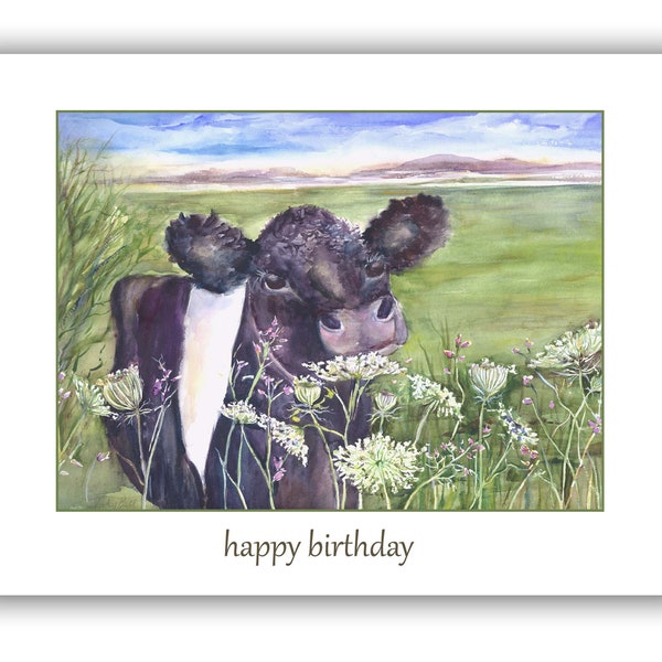 birthday cow card, belted galloway birthday card, cow overs card, belted galloway card-  queen ann's lace card, cow art-