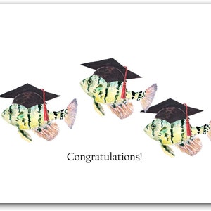 afstudeerviskaarten, felicitatie afgestudeerde kaart, viskaart, nautische afstudeerkaart, kustafstudeerviskaart,