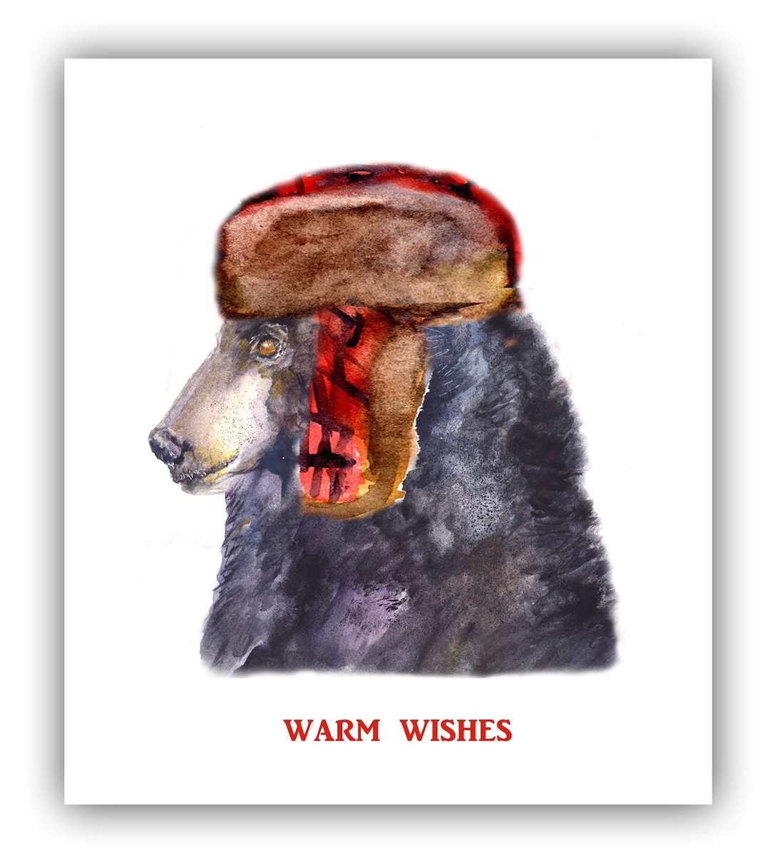 Black Bear Christmas Cards 