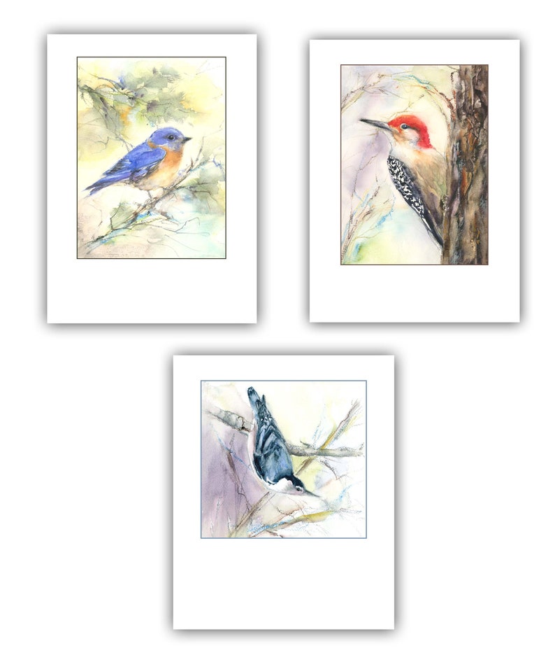 Bird note cards watercolor bird cards nuthatch card, bluebird card, woodpecker card bird lover gift bird stationery image 1