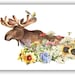 see more listings in the Birds & animal cards section