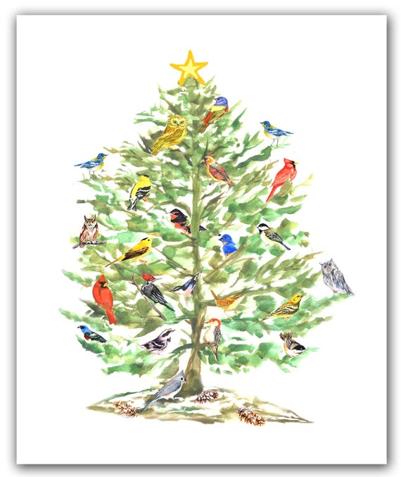 Song Bird Christmas Cards Winter Solstice Bird Cards Holiday