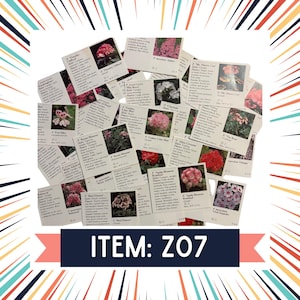 Z07 - Vintage Botanical Ephemerera Pack – 30 boekpagina's voor junkjournals, collagekunst en scrapbooking – Nature Paper Pack – 10% voor missies