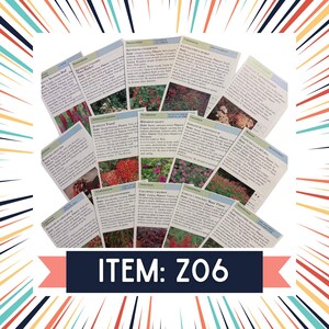 Z06 - Pacote de itens botânicos vintage - 15 páginas de livro para diários de sucata, arte de colagem e scrapbooking - Pacote de papel da natureza - 10% para missões