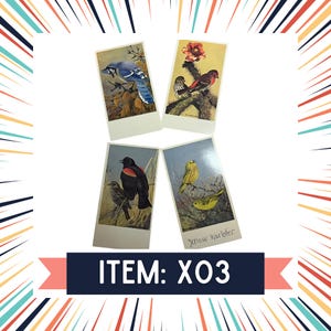 X03: Cartões de som de pássaros vintage de 1977 da Audible Audubon (conjunto de 4 cartões) para diário de lixo e scrapbooking