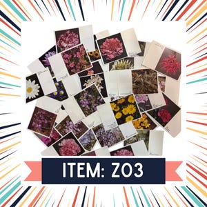 Z03 - Vintage Botanical Ephemerera Pack – 30 boekpagina's voor junkjournals, collagekunst en scrapbooking – Nature Paper Pack – 10% voor missies