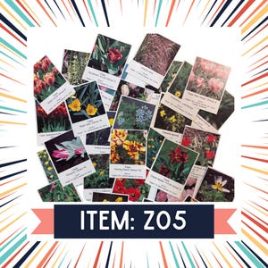 Z05 - Vintage Botanical Ephemerera Pack – 30 boekpagina's voor junkjournals, collagekunst en scrapbooking – Nature Paper Pack – 10% voor missies