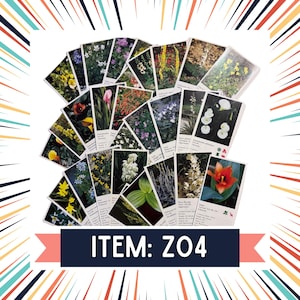 Z04 - Vintage Botanical Ephemerera Pack – 30 boekpagina's voor junkjournals, collagekunst en scrapbooking – Nature Paper Pack – 10% voor missies