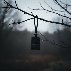 Puede incluir: Un ambientador de coche negro y rectangular colgado de una rama de árbol. El ambientador tiene un diseño de dos partes con el texto "POLISHED AMBER" visible en la parte delantera. El fondo es una escena borrosa de un bosque oscuro.