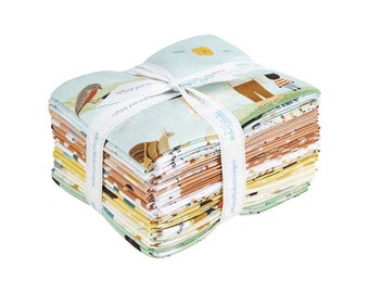 It's Here! 18 Fat Quarters The LITTLEST FAMILY'S BiG DaY fabric Riley Blake Designs FQ-11490-18