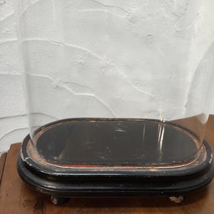 Antike ovale Glasglocke/Kugel/Kuppel/Kuppel