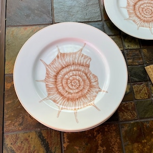 1976 Porcelain Fitz & Floyd Coquille Dinner Plate(s)Seashell plate -Ocean plates