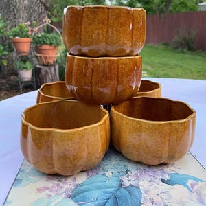 Pier 1 Imports  Stoneware Cereal/ Soup Bowl Set (Qty.2)Pumpkin Fall Harvest Autumn