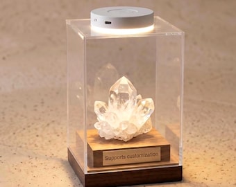Vetrina in acrilico e cristallo, scatole in legno per campioni di minerali, vetrina a scatola chiusa per statuette, targhetta personalizzata con incisione e opzione LED, regalo
