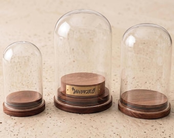 Cupola di vetro personalizzata con base in legno, teca espositiva personalizzata con targhetta per cristalli e minerali, supporto regalo per fiori stabilizzati