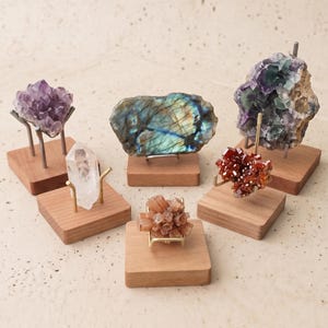 Op de afbeelding: Assortiment van kleurrijke kristallen en mineralen tentoongesteld op kleine houten standaards. De collectie omvat amethist, labradoriet, kwarts, fluoriet en aragoniet, elk met unieke kleuren en texturen. De standaards hebben metalen houders.