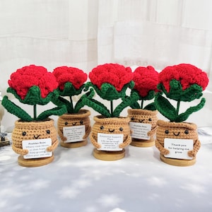 Puede incluir: Cinco plantas de rosas rojas tejidas a crochet en macetas marrones con caras felices. Cada maceta tiene un pequeño cartel con un mensaje positivo. Los carteles dicen: "Rosa Positiva Donde las rosas florecen, también lo hace la esperanza. Sigue creciendo, florece a tu manera", "Planta de Apoyo Emocional La vida puede ser difícil a veces, pero recuerda, tú también!", "Planta de Apoyo Emocional La vida puede ser difícil a veces, pero recuerda, tú también!", "Rosa Positiva Donde las rosas florecen, también lo hace la esperanza. Sigue creciendo, florece a tu manera", "Gracias por ayudarme a crecer".