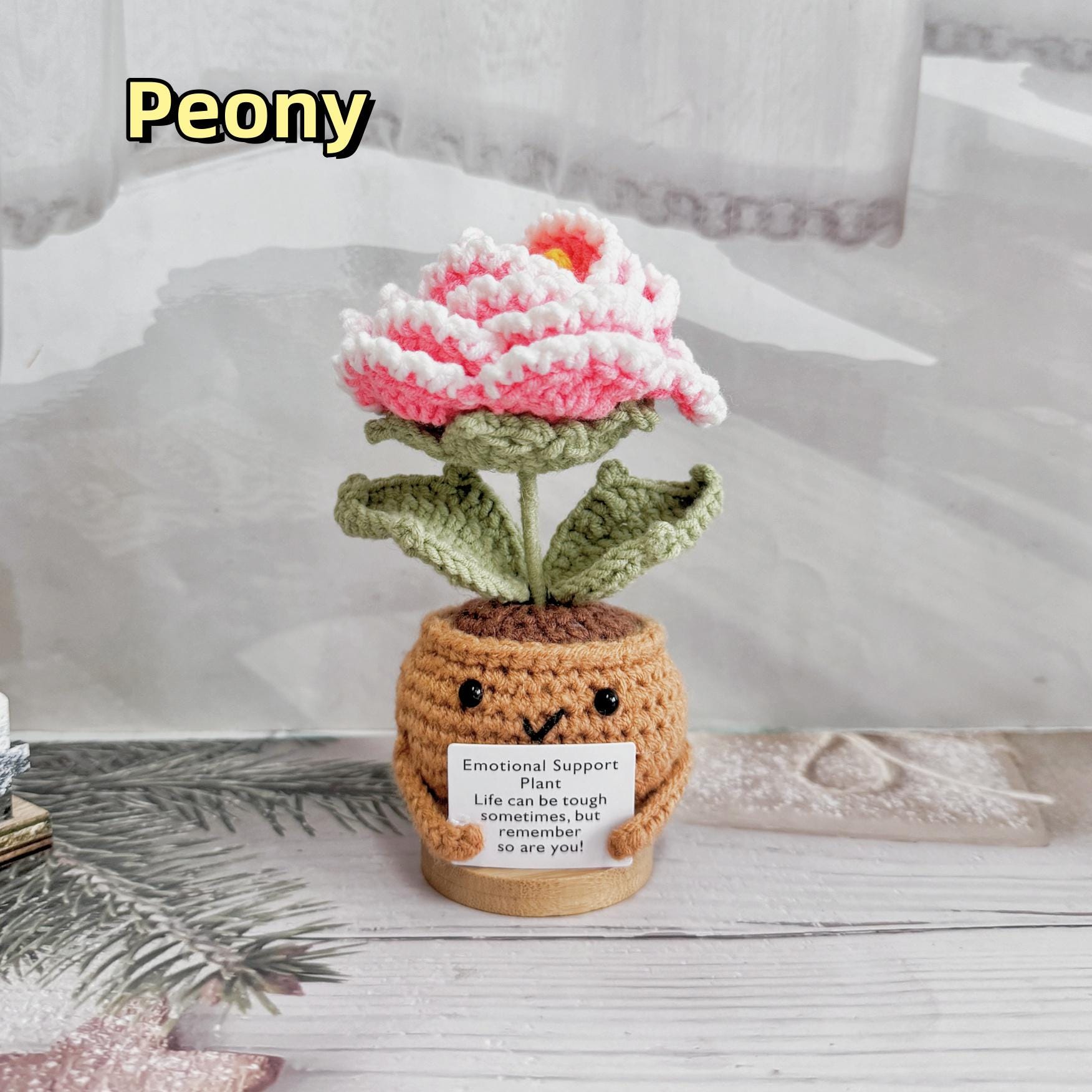 Adorable Emotional Support Plamt Gift Set,handmade Crochet