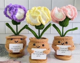 Adorable Handmade Crochet Carnation(Purple/Rellow/Pink)-Crochet Flower Desk Decor-Thank you for Gift-Mother's Day Gift-Teacher Appreciation
