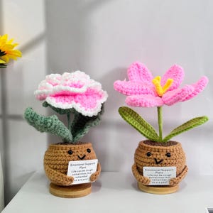May include: Two crocheted pink flower plants in brown pots with smiling faces. Each pot holds a card that reads "Emotional Support Plant" and "Life can be tough sometimes, but remember so are you!"