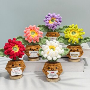 May include: A collection of handmade crochet flowers in various colors, including red, pink, yellow, purple, and white. Each flower sits in a brown pot with a smiling face and a small sign. The signs read "Auntie", "Mom", and "Grandma".