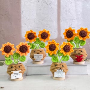 Personalized Cute Crochet Sunflowers,Crochet Two-headed Sunflower,Thank you Gift,Emotional Support Plant,Gift for Colleague/Teachers/Friends