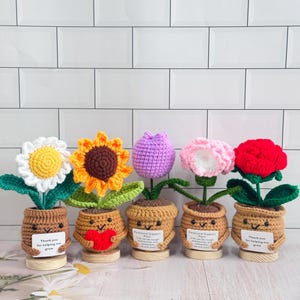 May include: A collection of five handmade crochet flowers in brown pots, each with a unique flower design: daisy, sunflower, tulip, carnation, and rose. Each pot has a smiling face and a small sign with text. The flowers sit on wooden bases.