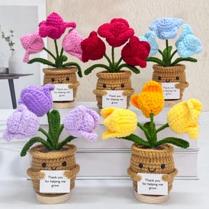 Puede incluir: Seis macetas de flores de ganchillo con flores de diferentes colores. Cada maceta tiene una cara sonriente y un cartel que dice "Gracias por ayudarme a crecer".
