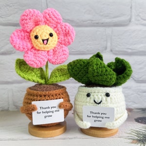 Cute Handmade Crochet Smiling Face Sunflower and Aloe-Emotional Support Gift-Thank you for helping me grow Quote-Thank you gift-Gift for her