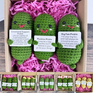 May include: Three crocheted pickle plush toys in a box with pink shredded paper. Each pickle has a different message on a card: "Emotional Support Pickle", "Positive Pickle", and "Big Fan Pickle".