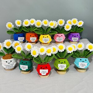 Può includere: Una collezione di dodici piante di margherite all'uncinetto in vaso, disposte su due file. Ogni pianta presenta un fiore bianco e giallo con foglie verdi in un vaso all'uncinetto colorato con un volto sorridente e un cartello con una scritta.
