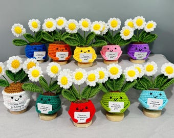 Handmade Crochet Daisy Emotional Support Plant, Knitted Cute Potted Flower Desk Decor, Thank You Christmas Gift,Amigurumi Flower Pot Gift