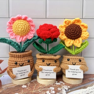 3PCS Adorable Emotional Support Gift Set-Handmade Crochet Flowers-Sunflower/Rose/Daisy-Helping me grow pot-Thank you Gift-Crochet Desk Decor