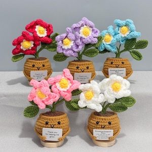 May include: Five crocheted potted flowers in red, purple, light blue, pink, and white. Each flower has a yellow center and green leaves. The brown crocheted pots feature embroidered faces and small white rectangular signs with printed text.