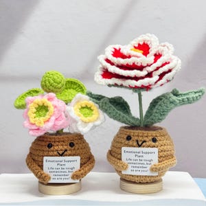 May include: Two crocheted "Emotional Support Plants" with smiling pot faces. One has a red and white flower, the other has pink and white flowers. Each pot holds a sign that reads "Life can be tough sometimes, but remember so are you!"