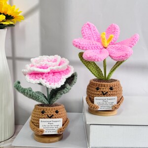 May include: Two crocheted flower plants in brown pots with smiling faces. Each pot has a small sign that reads "Emotional Support Plant" and "Life can be tough sometimes, but remember so are you!"