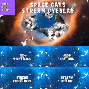 Animated Space Cats Stream Overlay Pack – Seamless Looping Galaxy Status Screens, 1920x1080 - Twitch, YouTube, OBS, Xsplit, Kick, StreamLabs