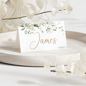 Blumenhochzeit Tischkarte Vorlage, weiße und grüne Tischkarte, Wildblume, botanische Hochzeit Namenskarte, Salbei grüne Namenskarte, bearbeitbar WC109