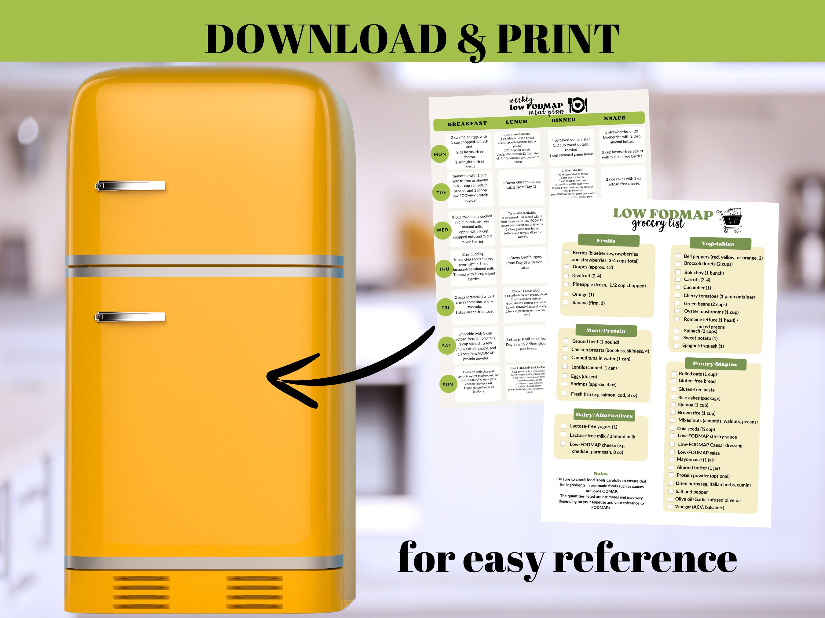 Low FODMAP Diet Meal Plan, IBS Shopping Grocery List, Download and ...