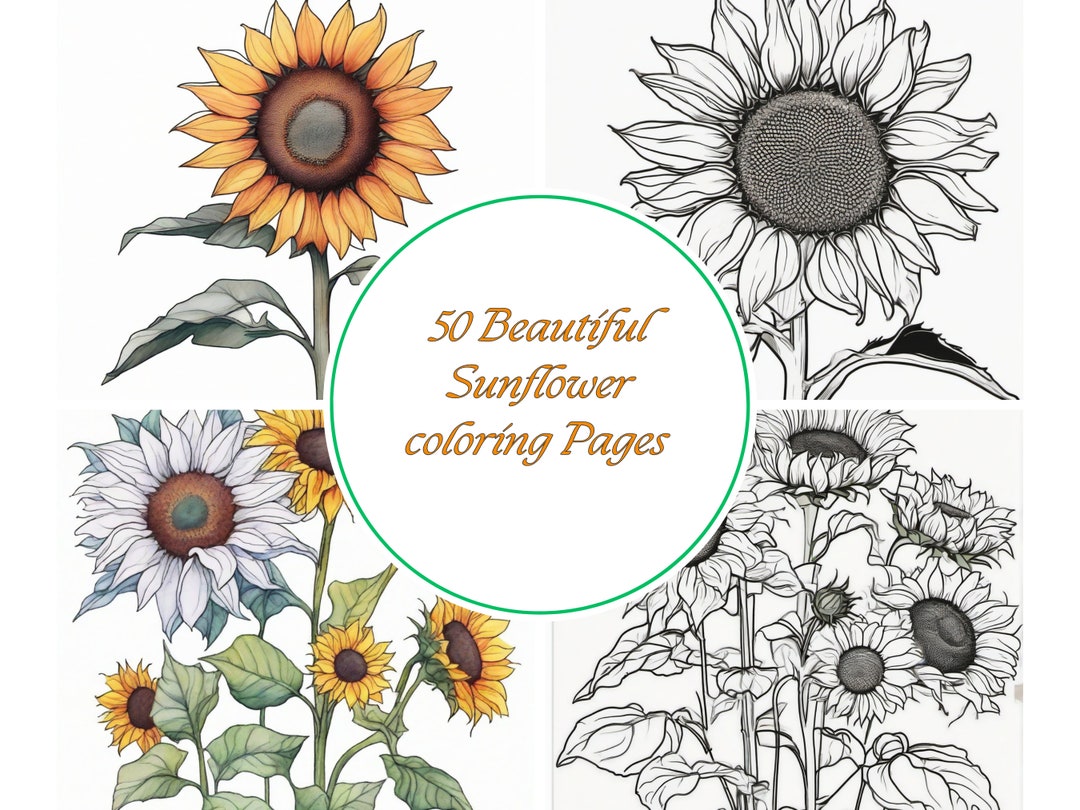 Sunflowers Coloring Pages, Printable Coloring Pages for Adults ...
